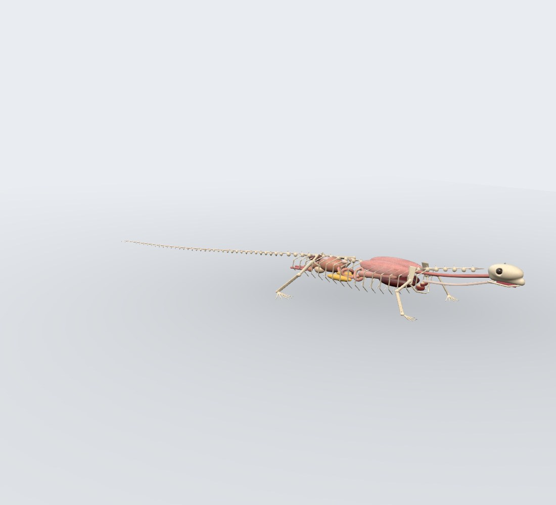 Modelo 3D — Lagarto (iguana)